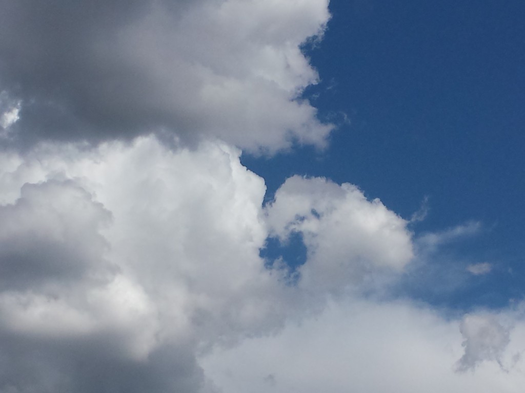 Heart Cloud