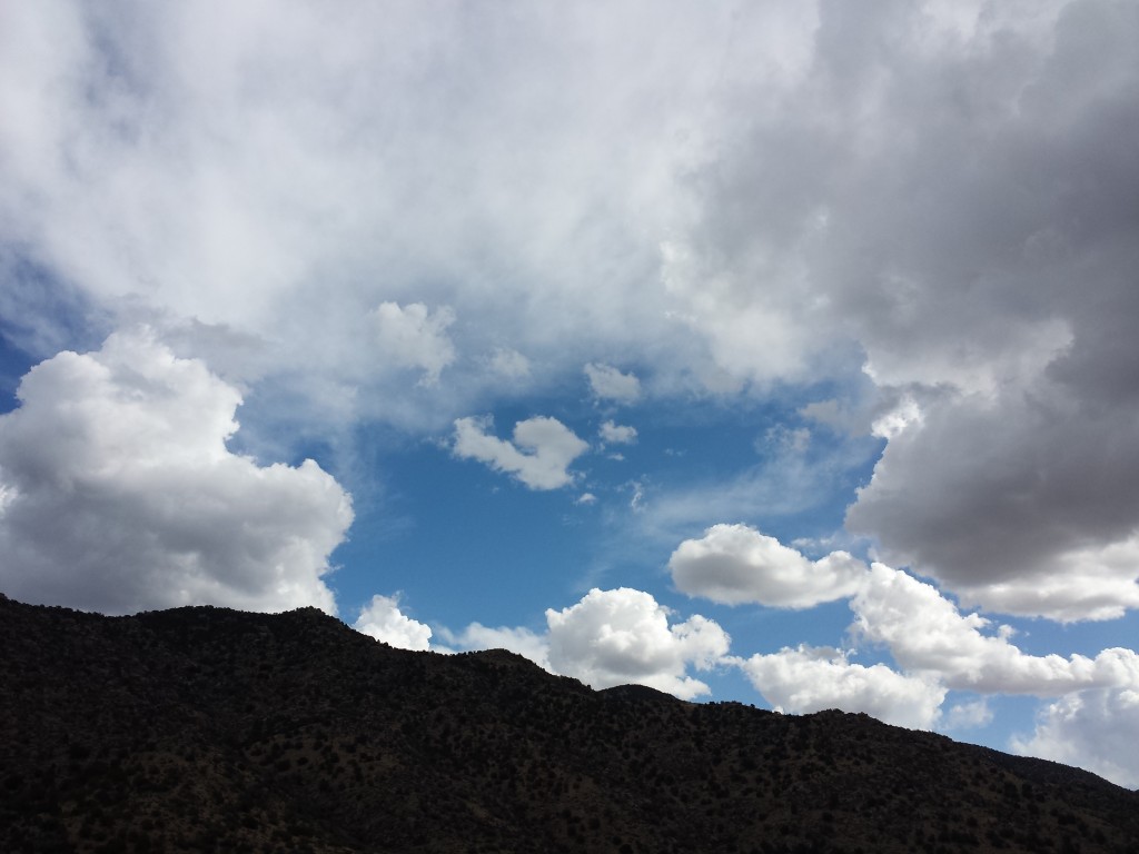 Heart Cloud