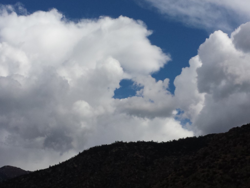 Heart Cloud