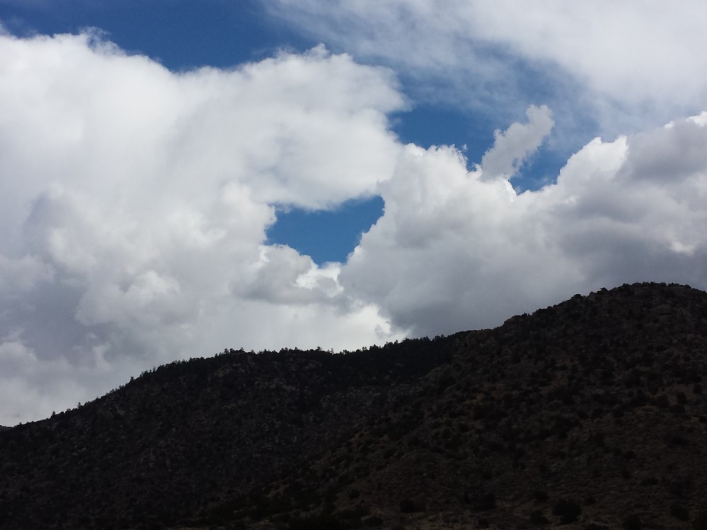 Heart Cloud