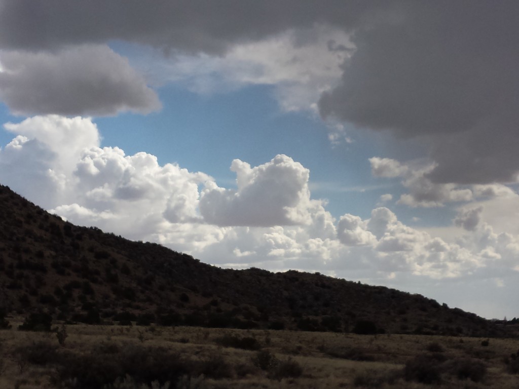 Heart Cloud